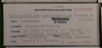 Image Associated With the Occurence